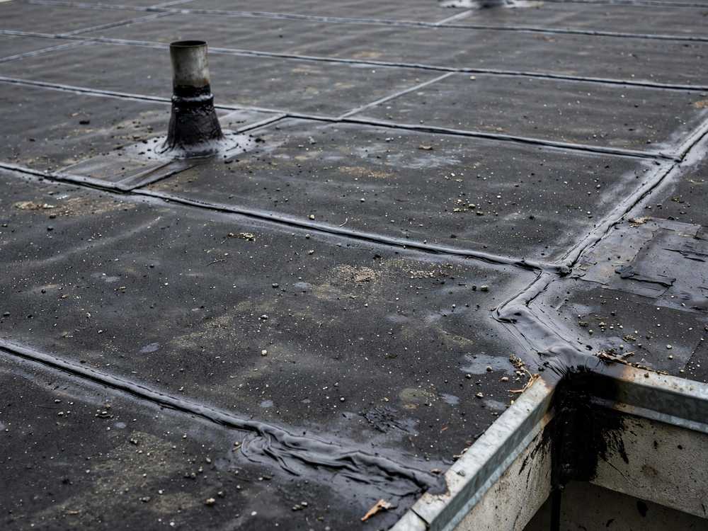 Roof Cleaning you can count on